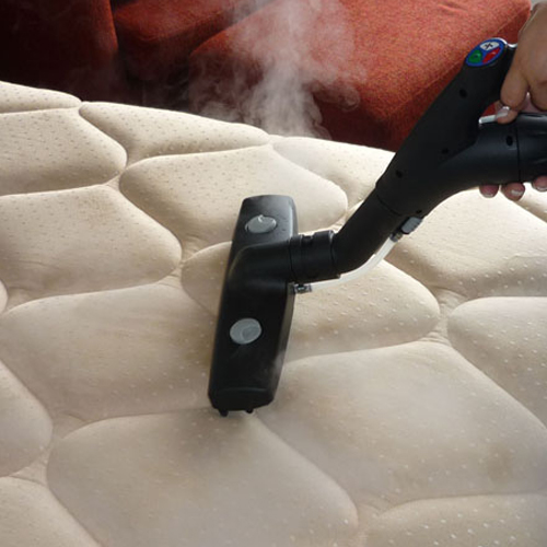 Mattress-Cleaning-babylon-New-York-Dust-mites-&-other-pests-dix-hills-ny